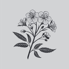 Outlined Flower Art for Tattoos