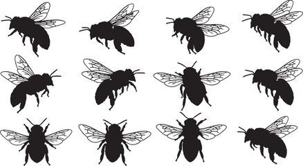 Obraz premium Twelve black bee silhouettes in various flying poses, bee, insect, flying, silhouette, black, white background, wing, antenna, leg, body, nature, animal, macro, detail, isolated, swarm, collection, se
