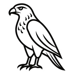vector illustration of a eagle