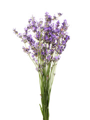 Naklejka premium Bunch of beautiful lavender flowers isolated on white