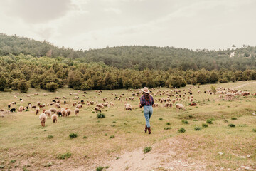 A woman is walking through a field of sheep