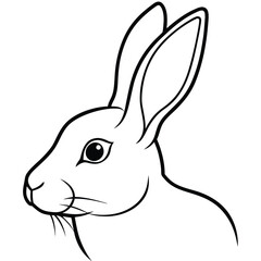 rabbit vector illustration