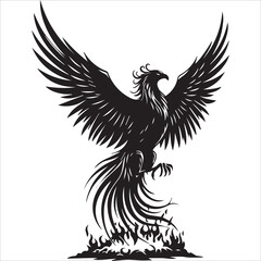 Obraz premium Black and White Graphic resources 