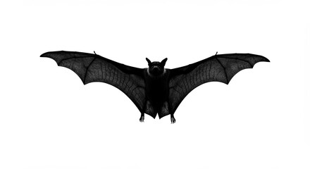 Fototapeta premium Majestic Bat in Mid Flight with Wings Stretched Wide