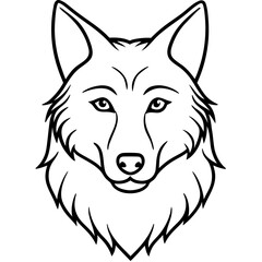 White Background Wolf