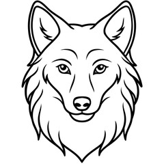 Fototapeta premium White Background Wolf