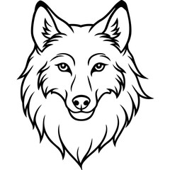 White Background Wolf