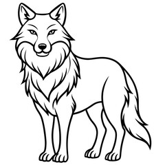 White Background Wolf