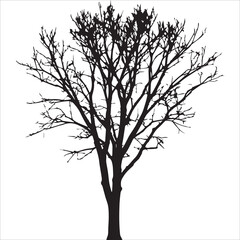 Black and White Graphic resources 