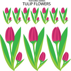 Obraz premium vector pattern set of pink tulips