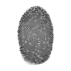 Close up of a detailed black fingerprint on a white background
