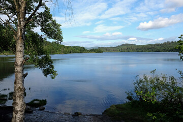 The shores of Loch Achray, Loch Lomond and Trossachs National Park, Scotland, UK