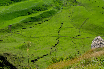 Lush Green Hills with Winding Paths and Streams