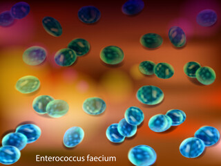 Realistic Digital Illustration of Enterococcus faecium Cocci Under Microscope View. Probiotic Enterococcus faecium Cells