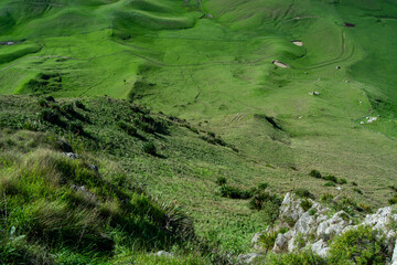 Lush Green Hills and Valleys Landscape