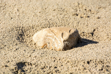Weathered Stone in Sand