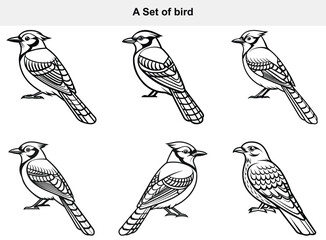 Fototapeta premium Illustration of Six Different Bird Poses