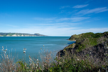 Fototapeta premium Scenic Coastal View with Blue Ocean and Green Hills