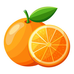 Orange Fruit Slice Vector