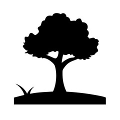 Lone Oak Tree Silhouette in Field at Dusk