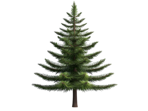 Detailed Lush Green Coniferous Tree Isolated on Transparent Background Natural Evergreen - Powered by Adobe