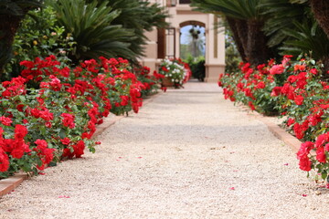 beautiful villa in Spain in orange fields