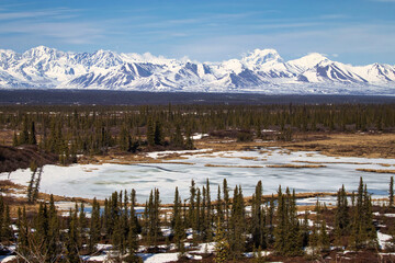 Icy pond and snowy mountains on the Denali Highway