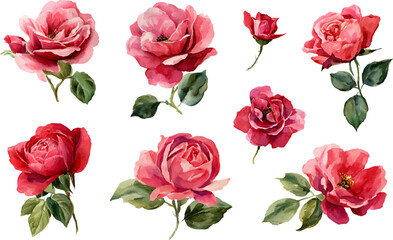 seamless pattern with pink roses
