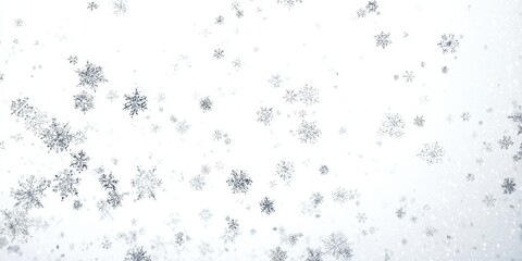 The delicate snowflakes falling against a serene white background.