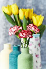 Carnation flowers and yellow tulips on bright background	