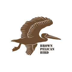 Pelican Bird logo design vector. Silhouette Pelican Bird Template Illustration