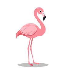 Detailed Tropical Flamino