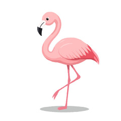 Detailed Summer Flamingo