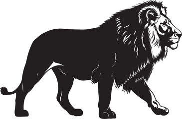 lion vector illustration