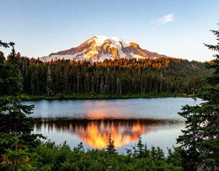 Fototapeta premium mt rainier at sunrise