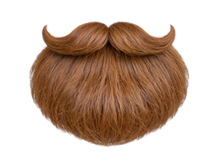 Realistic 3D Santa Beard with Strands and Shading