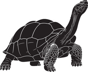 turtle vector illustration