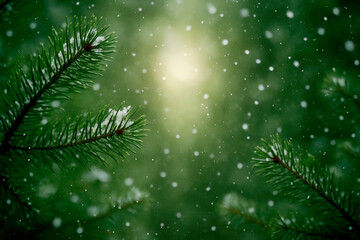 Snowflakes gently falling through evergreen branches in a serene forest during wintertime creates a magical atmosphere filled with tranquility