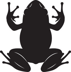 frog on white background