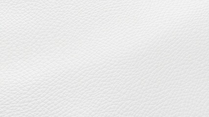 Textured White Surface Showing Fine Patterns and Subtle Variations in Tone and Light, Creating a Delicate and Visually Interesting Backdrop