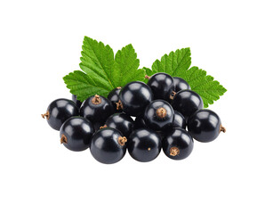A small pile of ripe glossy blackcurrants with fresh textured green leaves.