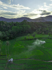 Beautiful morning view indonesia panorama landscape forest with beauty color and sky natural light