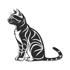 vector illustration of a cat