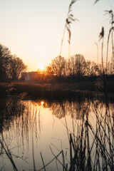 Sunset over the lake. Dolina Slużewiecka, Warsaw, Poland