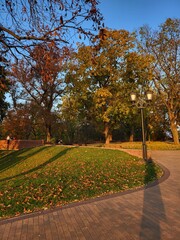 Autumn park landscape with lantern
