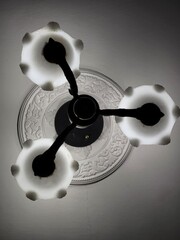 Ceiling Lamp with Three Bulbs Seen from Below