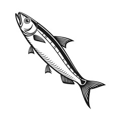 vector illustration of a fish
