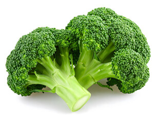 Fresh Green Broccoli Heads Isolated on White for Healthy Eating