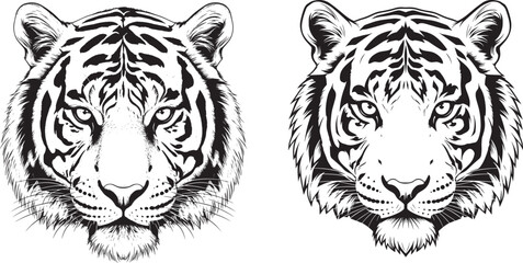 Vector art of two tiger heads isolated on white background