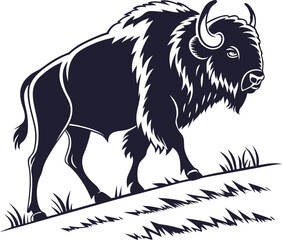 vector illustration of a wolf